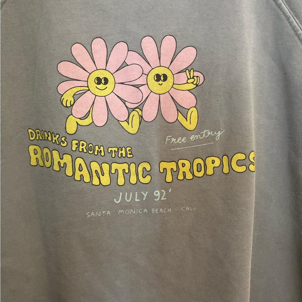 Gray Sweatshirt with Floral Embroidery